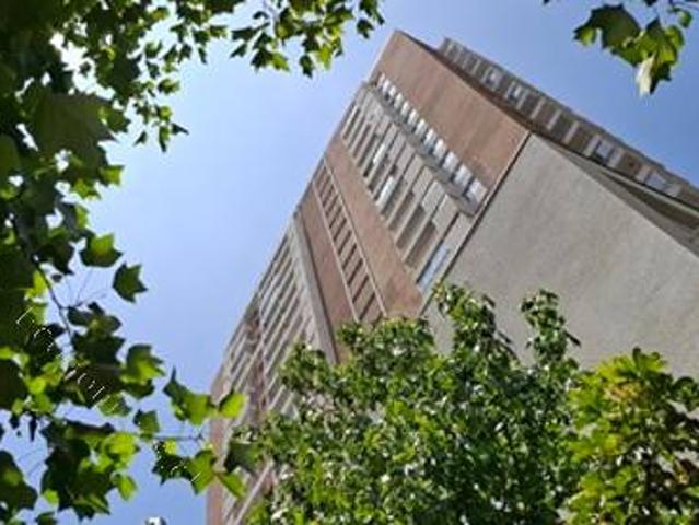 Arriendo departamento desde Marzo a Diciembre 2026