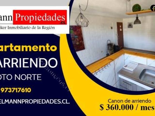 Arriendo departamento en excelente estado. Belloto Norte