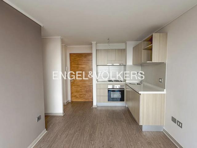 Arriendo departamento en futuro angol