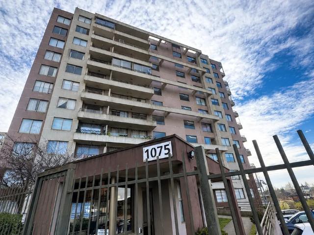 Arriendo departamento en lomas de san sebastián