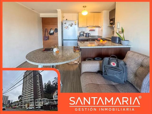 Arriendo Departamento en Pedro De Valdivia, Concepción