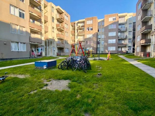 Arriendo departamento en terrazas de collao