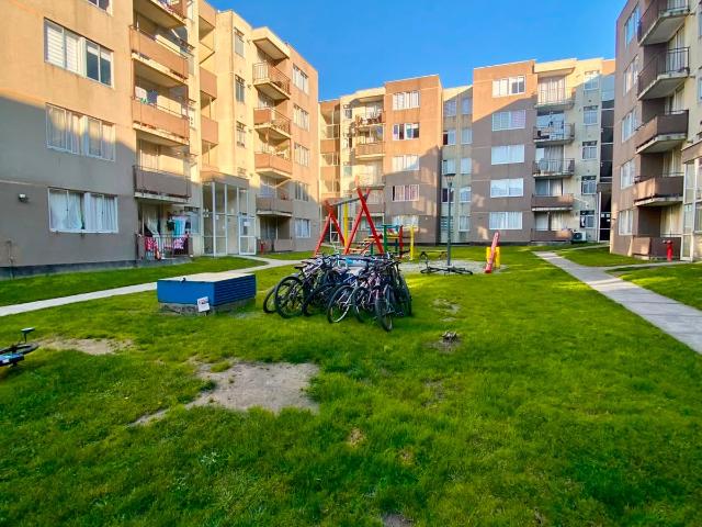Arriendo departamento en terrazas de collao