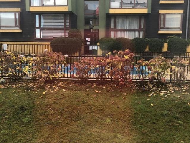 ARRIENDO DEPARTAMENTO ISLA TEJA LOS ROBLES 1100