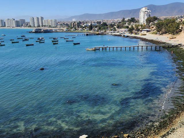 ARRIENDO ACOGEDOR DEPARTAMENTO JUNTO AL MAR COQUIMBO