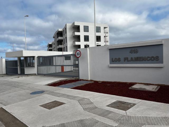 Arriendo departamento los flamencos