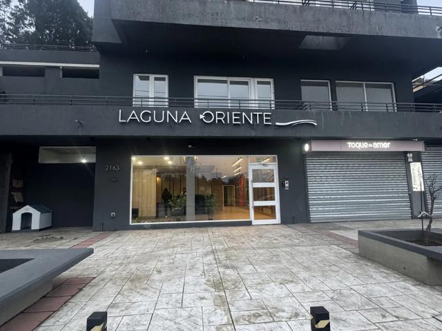 Arriendo departamento laguna oriente concepción