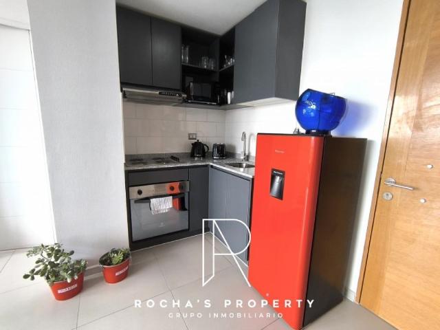 Arriendo Departamento Santiago dpto amoblado santiago 2d+2b+e