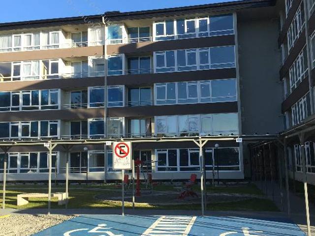 arriendo departamento semi amoblado