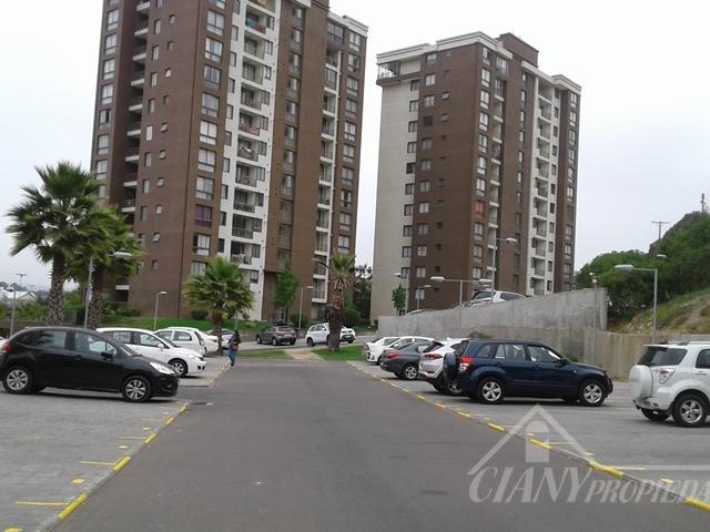 ARRIENDO DEPARTAMENTO PASO HONDO QUILPUE