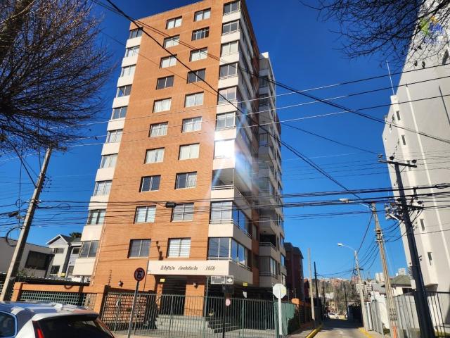 Arriendo departamento plan de viña del mar 2d 2b 1e 1b