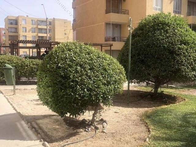 Arriendo departamento primer piso cond. San Marcos