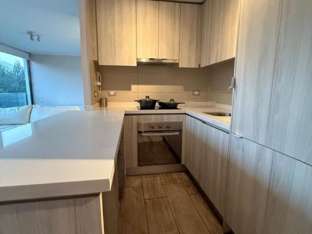 Arriendo departamento providencia pocuro los leones