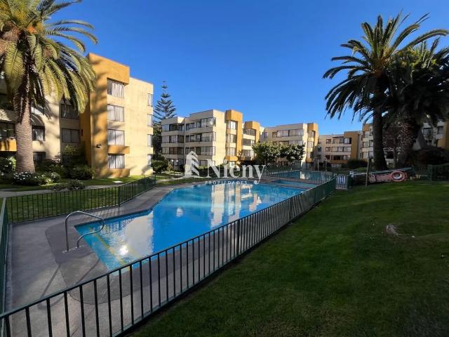 Arriendo departamento viña del mar plan de reñaca