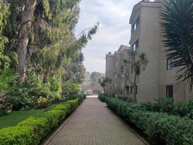 Arriendo Departamento Viña del mar Salvador Vergara