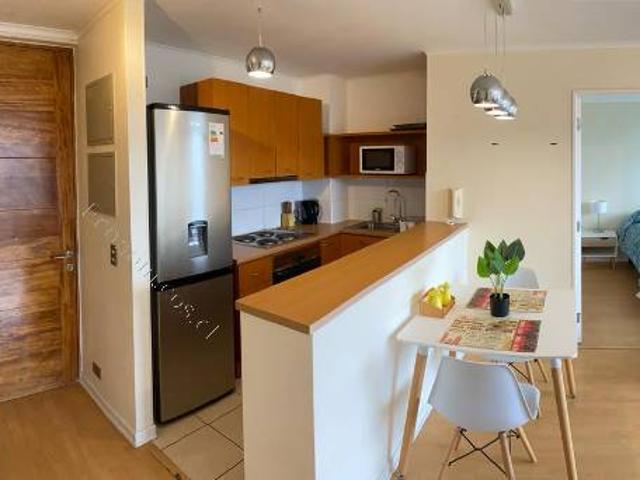 Arriendo Departemento Amoblado Centro