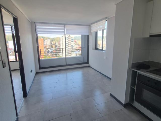 Arriendo dpto ubicado en calle lientur 1D 1B