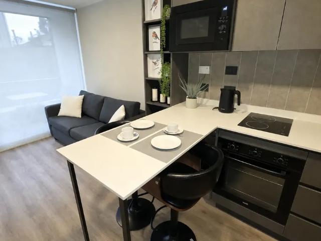 Arriendo En El Centro De Valdivia, Depto Nuevo Y Amoblado