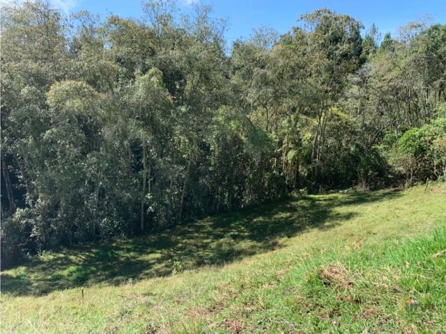 ARRIENDO FINCA EN GUARNE VEREDA PIEDRAS BLANCAS SECTOR LOS YARUMOS