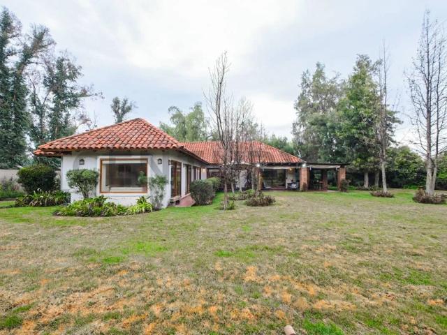 Arriendo Hermosa Parcela 5.000 Mts De Terreno Chicureo
