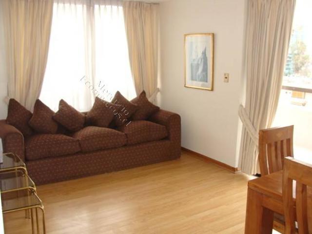 Arriendo Hermoso Departamento Amoblado con Vista
