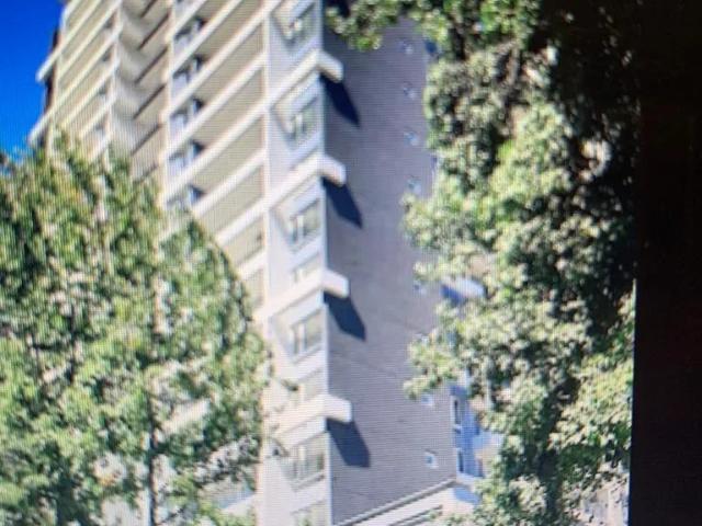 Arriendo hermoso departamento cercano a udec