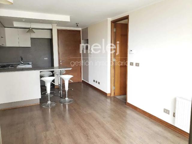 Arriendo impecable departamento en viña del mar