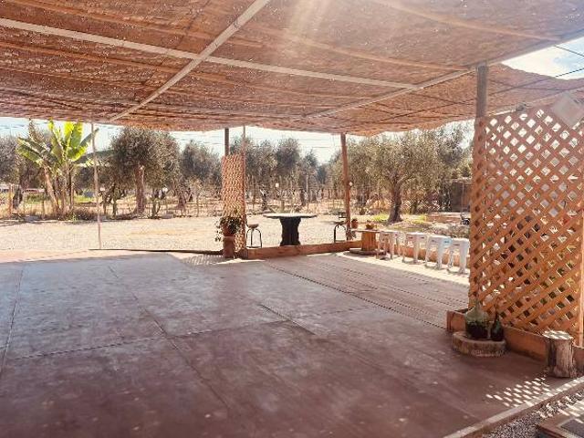 Arriendo loft en Valle de Azapa, Arica