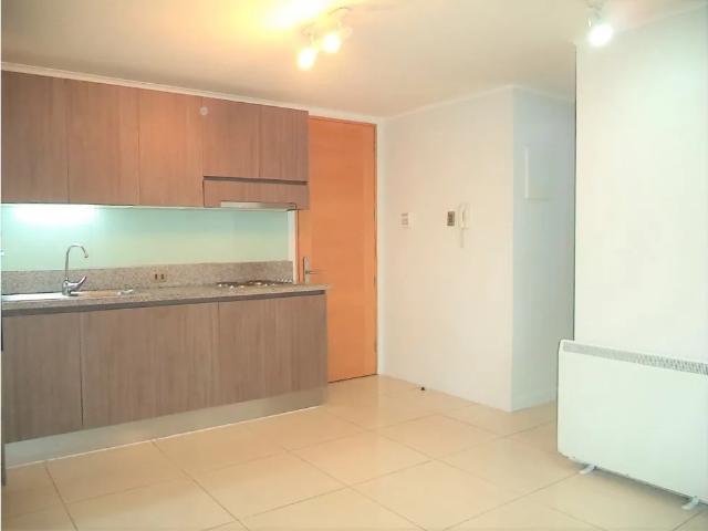 Arriendo metro santa lucia / sara del campo / carmen