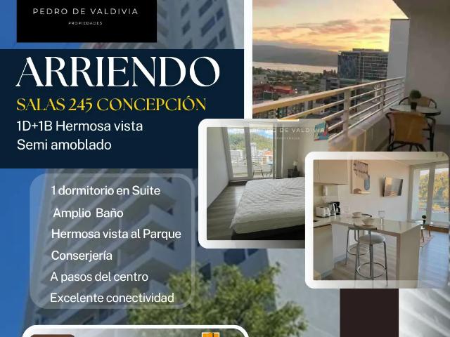 Arriendo moderno departamento semi amoblado vista al parque
