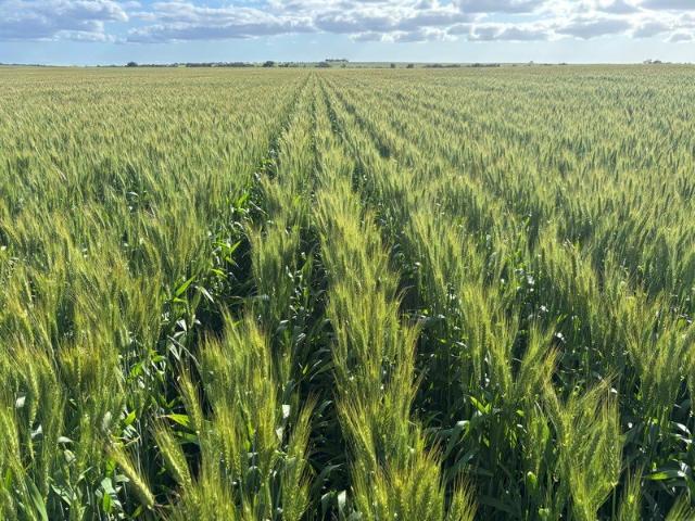 ARROWSMITH PORTFOLIO | MID WEST REGION WA