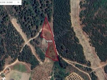 Ağlaşan, Kestel, Bursa ili, Marmara Bölgesi