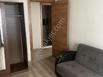 Bornova, İzmir ili, Ege Bölgesi - Klima