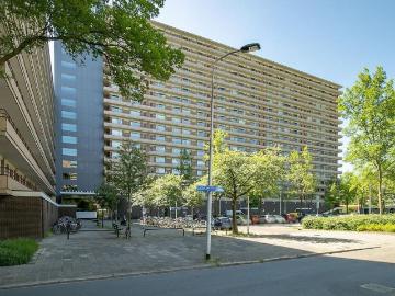 Nieuwe Gracht, Van Leeuwenhoekkwartier, Delft, Zuid-Holland, Zuid-Holland