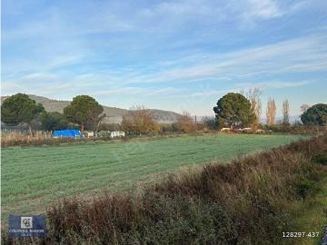 Selçuk, İzmir ili, Ege Bölgesi - Open space