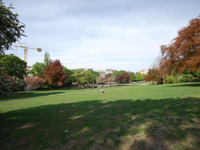 Awesome Studio with Park View, Berlin Amsterdam Apartments for Rent