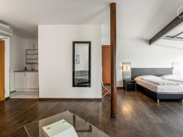 Awesome studio in Dreieich