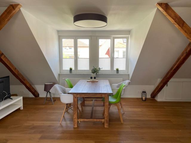 Awesome 2 room rooftop studio in Karlsruhe close to central station with air conditioning, Karlsruhe Amsterdam Apartments for Rent