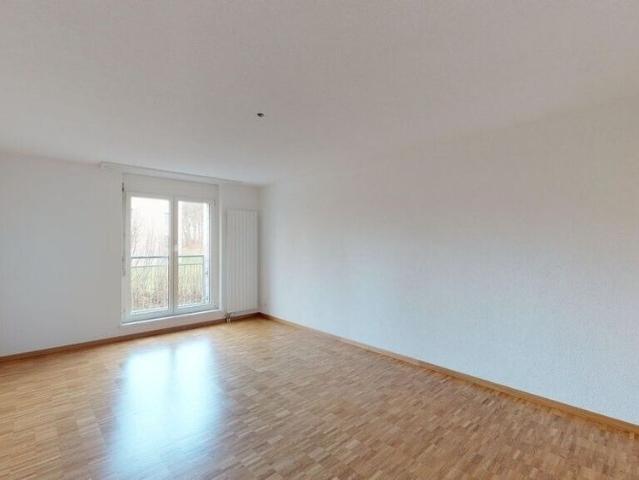 At the Stephanshorn you simply feel at home