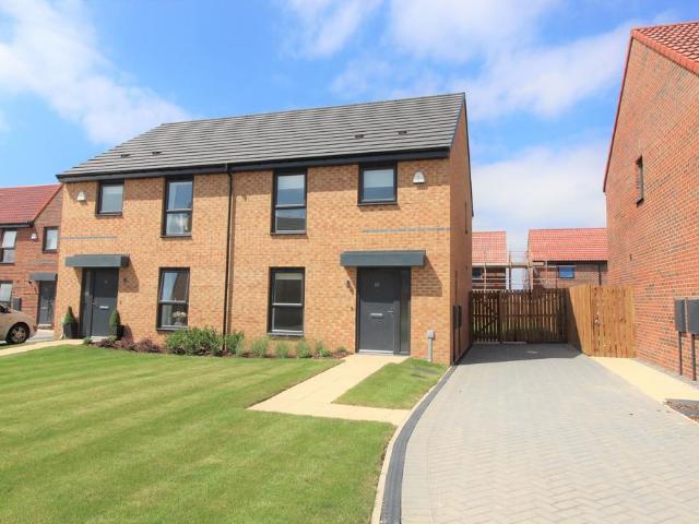 at Bishops Park Phase 2, 88 Marsh. 3 bed house to rent £975 pcm £225 pw