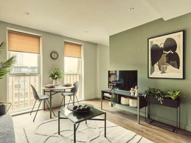 at Mustard Wharf at Tower Works. 1 bed apartment to rent £1,105 pcm £255 pw