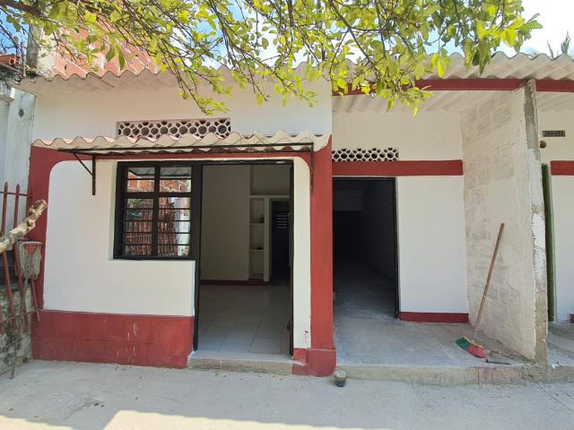 Atalaya, palmeras parte alta \ APARTAESTUDIO