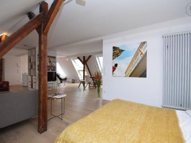 Atelierflair möbliert mit 30 m² Dachterrasse über den Dächern der Südstadt