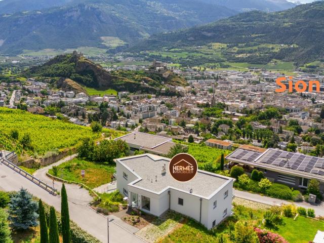 Atemberaubende 4,5 Zimmer Signature Penthouse Wohnung in Diolly, Sion