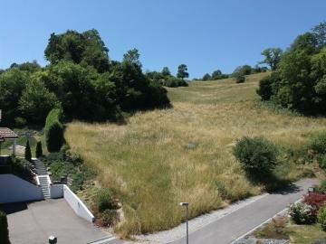 Wilen, Herdern, Herdern, Bezirk Frauenfeld, Thurgau