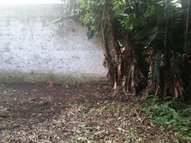 ATENÇÃO CONSTRUTOR Terreno à venda em Porto Alegre RS, bairro Camaquã, 620m². Venha conferir!