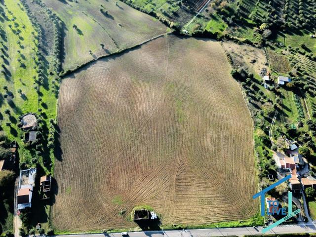 Terreno de 4 Hectares com Vista Deslumbrante sobre Tomar e o Convento de Cristo