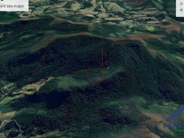 Ativo Ambiental: 54 ha para Reserva Legal ou Crédito de Carbono