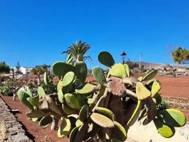 Ático Venta Yaiza, Playa Blanca