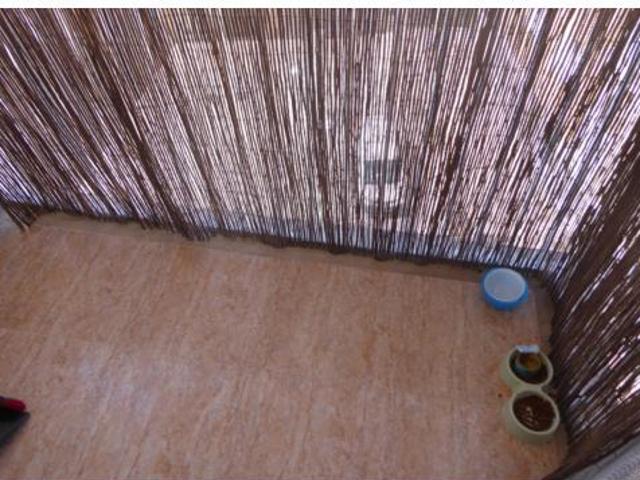 Ático Venta Benicarló, Papa Luna